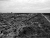2007-04-01-bw-06-qatna-panorama-from-west